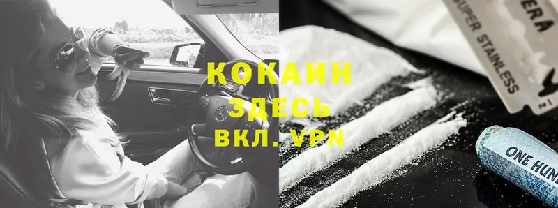 ссылка на мегу   Волжск  Cocaine FishScale  где купить  